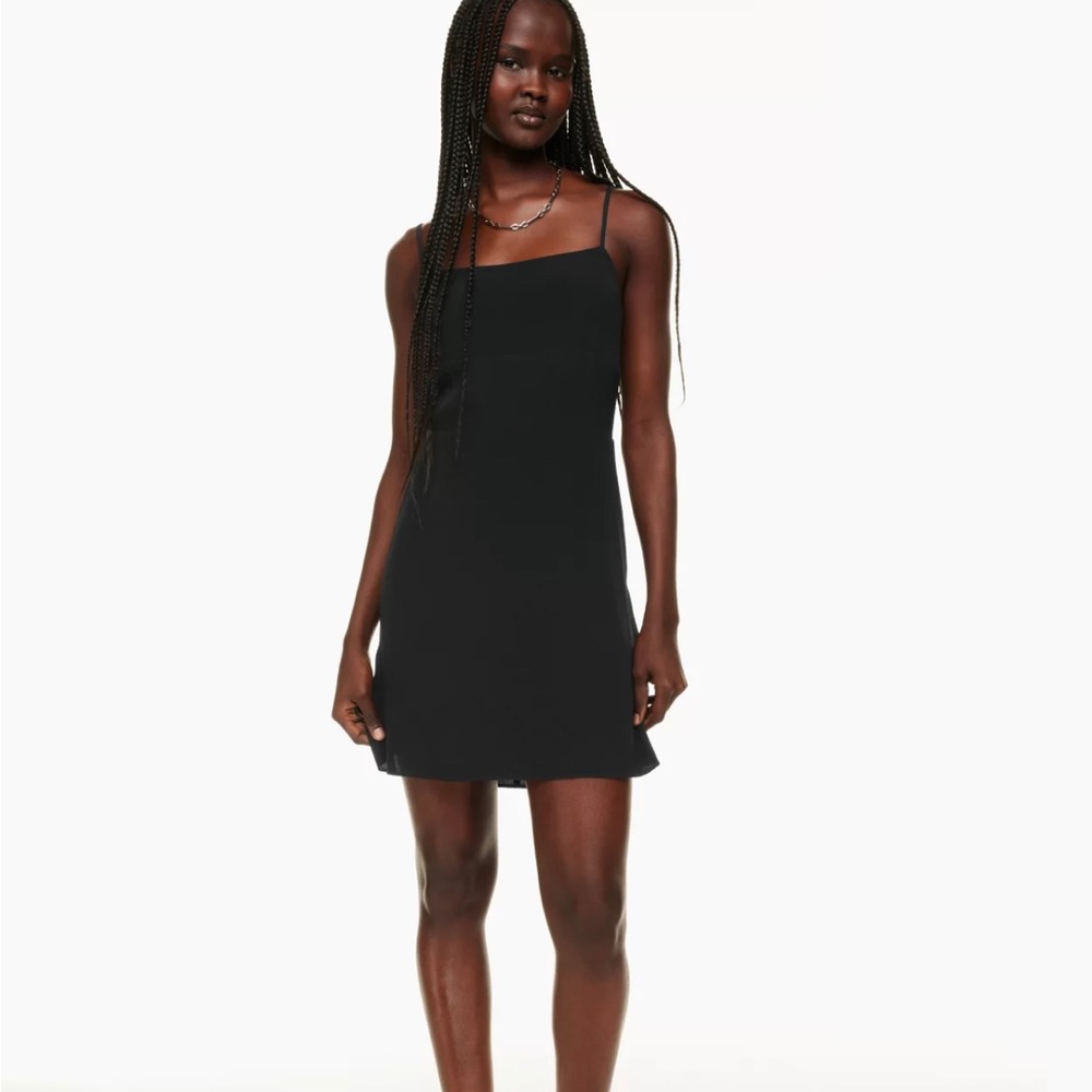 Aritzia Sunday Best Mini Dress